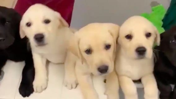 In Depth: Thanksgiving Special