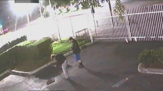 Two men caught on video killing, mutilating cat in Pomona