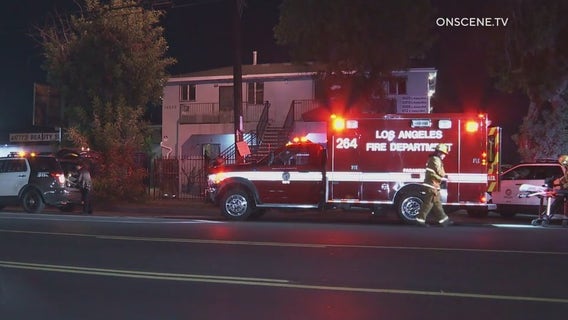 South LA woman killed after gunfire strikes her apartment