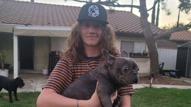 High school student killed at Bloomington Halloween party