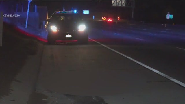 Mountain lion hit and killed on 405 Freeway in Sepulveda Pass