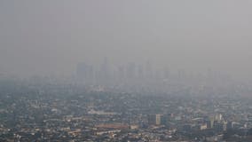 California approves roadmap for carbon neutrality by 2045