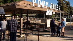 End of an era: Griffith Park pony rides officially closes