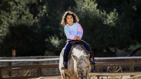 Griffith Park Pony Rides officially closes after 74 years