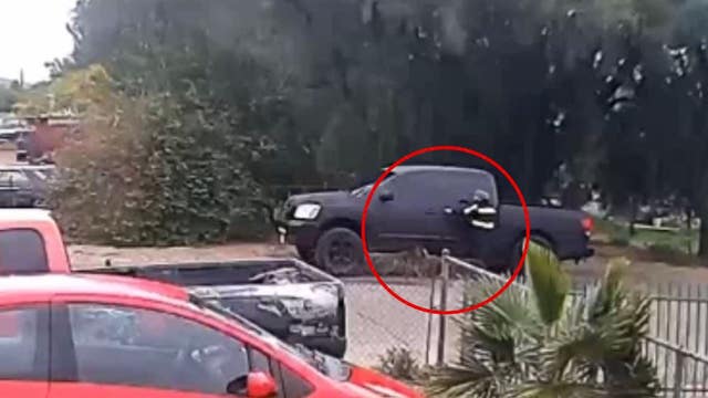 Video shows man intentionally running over, killing dog