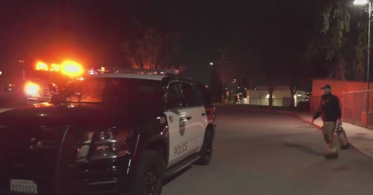 Dogs attack woman in Riverside | FOX 11 Los Angeles