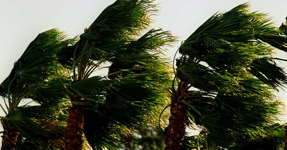 Santa Ana winds back in Southern California - here's when | FOX 11 Los ...