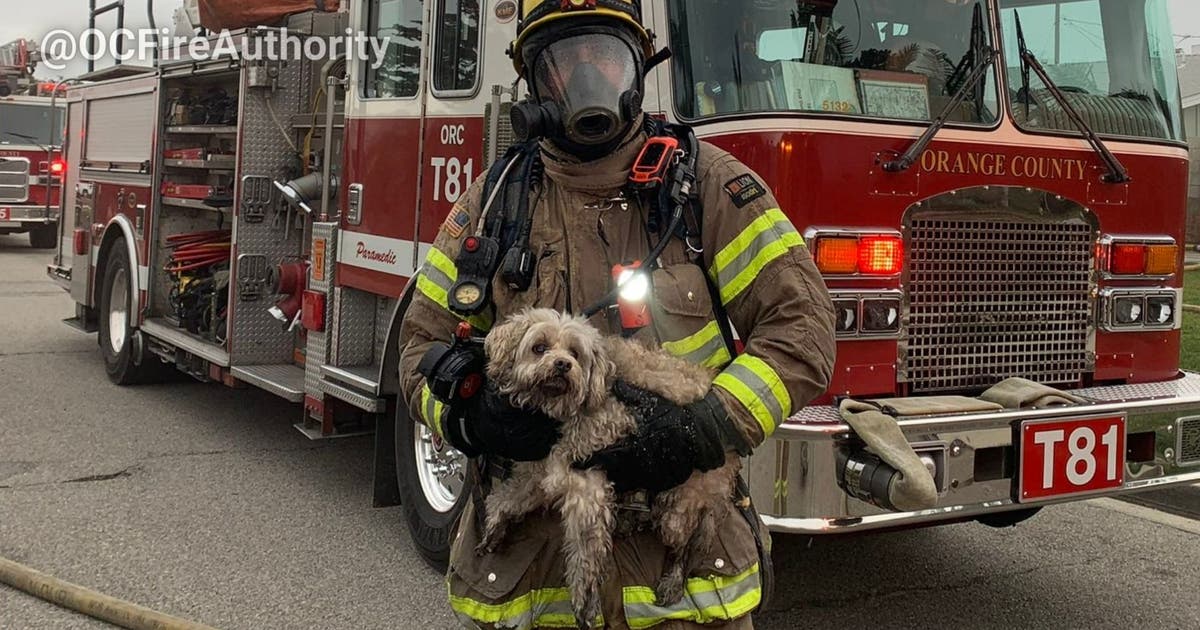 OC firefighters rescue dog from house fire | FOX 11 Los Angeles