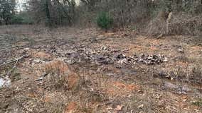 Arkansas landowner stumbles upon hundreds of deer carcasses, prompting investigation