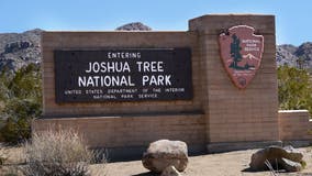 Hiker found dead after fall in Joshua Tree National Park