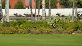2 horses euthanized due to race injuries at Los Alamitos