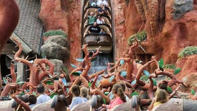 Disney ride Splash Mountain closes for good