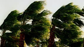 Santa Ana winds back in Southern California - here's when