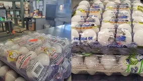 Border Protection warns travelers face fines for smuggling eggs to US from Mexico as prices soar