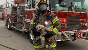 OC firefighters rescue dog from house fire