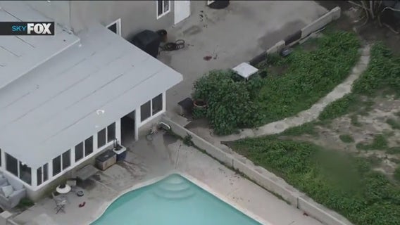 2 dogs killed during Sun Valley home invasion; man arrested