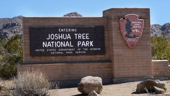 Hiker found dead after fall in Joshua Tree National Park