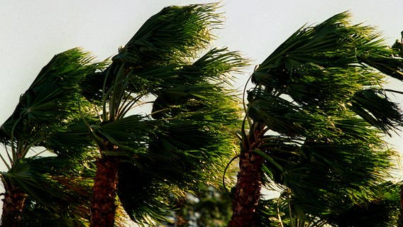 Santa Ana winds back in Southern California - here's when