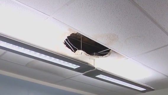 Orange County wetlands and wildlife care's roof collapses during SoCal storms