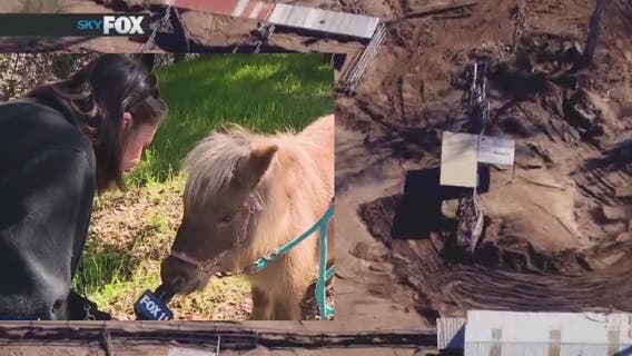 Ventura horse ranch devastated by winter storms; Program in need of help