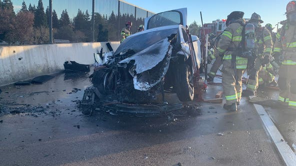 Tesla ‘spontaneously’ catches fire on California freeway, officials say