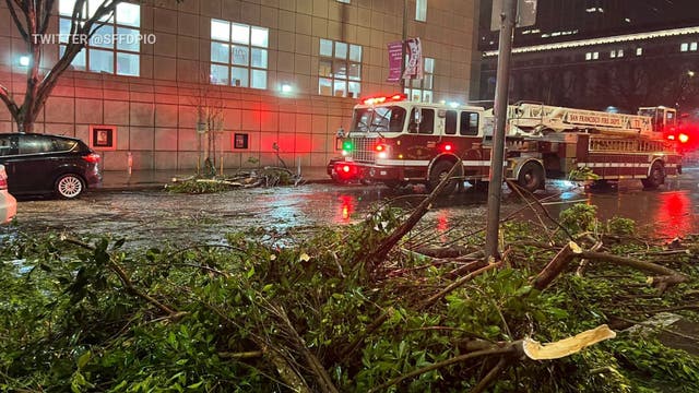 San Francisco firefighters rescue family trapped in car by fallen tree