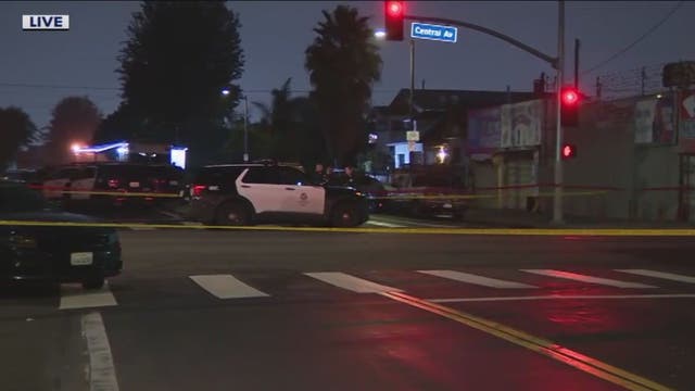 LAPD: Man with 'sharp metal object' shot, killed after approaching officers in South LA