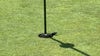 Watch: Venomous snake pops out of hole, surprising golfers