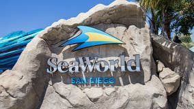 SeaWorld San Diego goes cashless