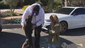 Dog rescued on LA freeway reunited with owner