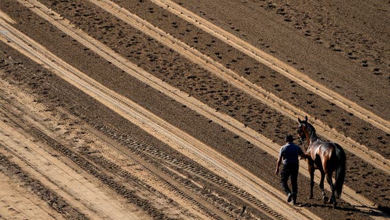 2 more horses at Santa Anita Park die after racing injuries