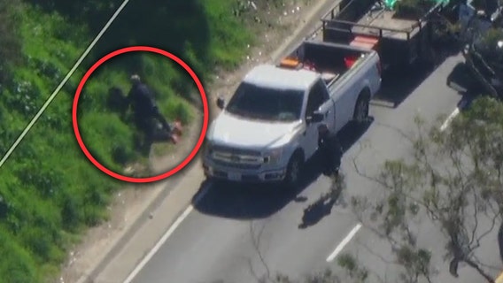 Police chase: LAPD officers tackle pursuit suspect on 405 Freeway near LAX