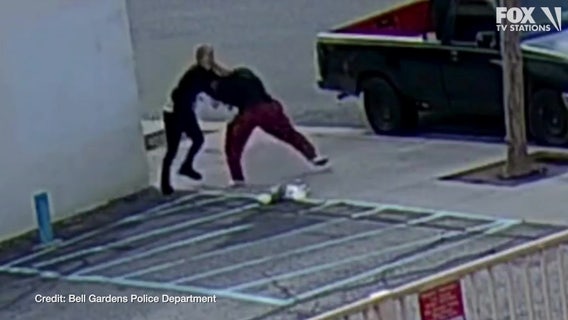 Violent dognapping in Bell Gardens captured on video