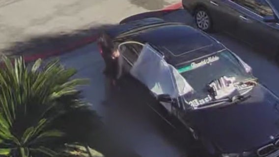 Woman brutally yanks, drags puppy in broad daylight in LA's South Gate neighborhood