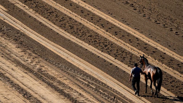 2 more horses at Santa Anita Park die after racing injuries