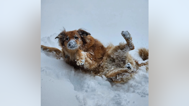 VIEWER PHOTOS: Southern California snow