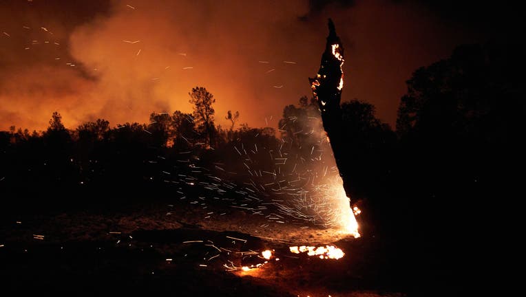 A tree burns to embers in front of a smoky out tree line