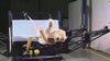 Many pet car restraints failed crash tests