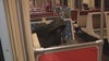 More than 20 people have died on LA's Metro bus in 2023: report