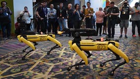 LA City Council delays vote on LAPD robot dog