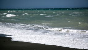 Whale found on California beach dies despite rescue effort