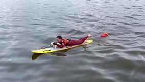 Long Beach lifeguards rescue dog swimming out to sea, reunite it with owner