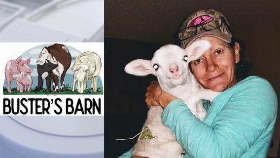 Buster's Barn: LA County animal sanctuary in need of help after snowstorm damage