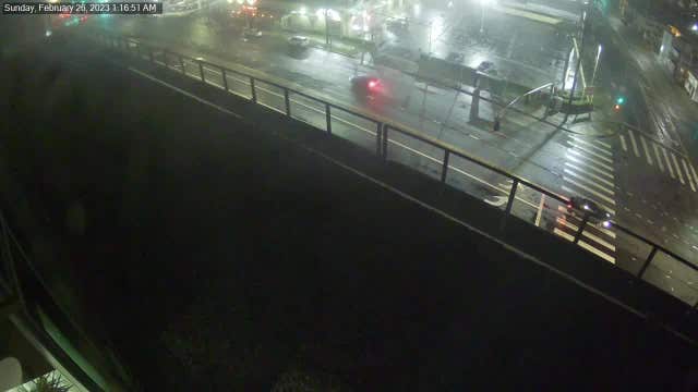 LAPD investigating deadly Palms hit-and-run