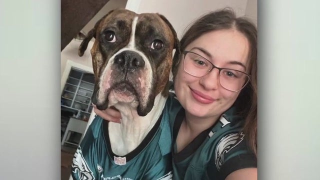 'Miracle' dog survives 17 days in Big Bear snowstorm before reuniting with family