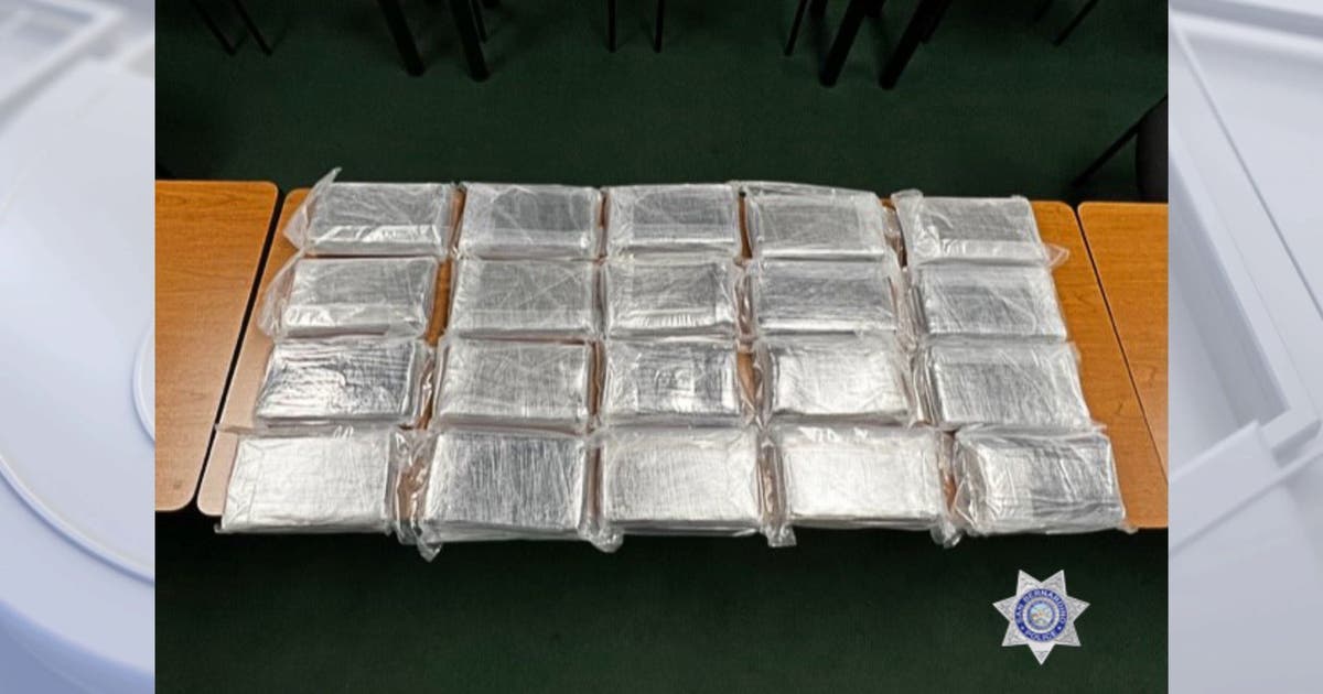 K-9 helps officers seize 40+ pounds of fentanyl in San Bernardino | FOX ...