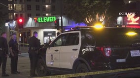 2 shot near Hollywood Walk of Fame