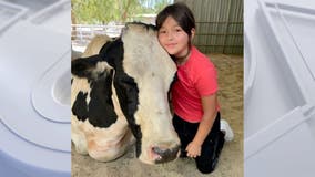 Compassionate Sophia wants to care for animals