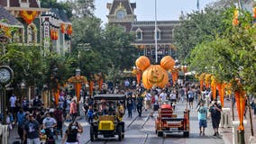 Disney's 'Halfway to Halloween' celebration underway