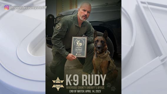 Sheriff's K-9 dies, suspect shot to death in Riverside County
